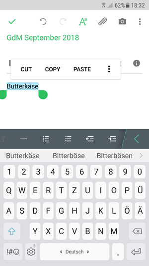 Bitterboeser_Butterkaese